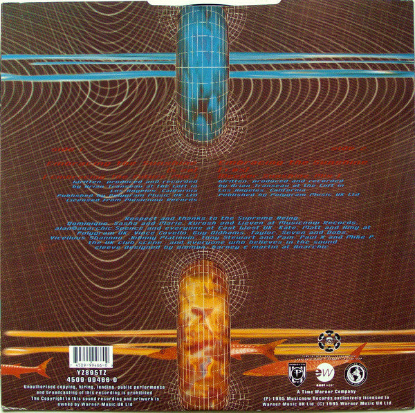 BT : Embracing The Sunshine (12", Single)