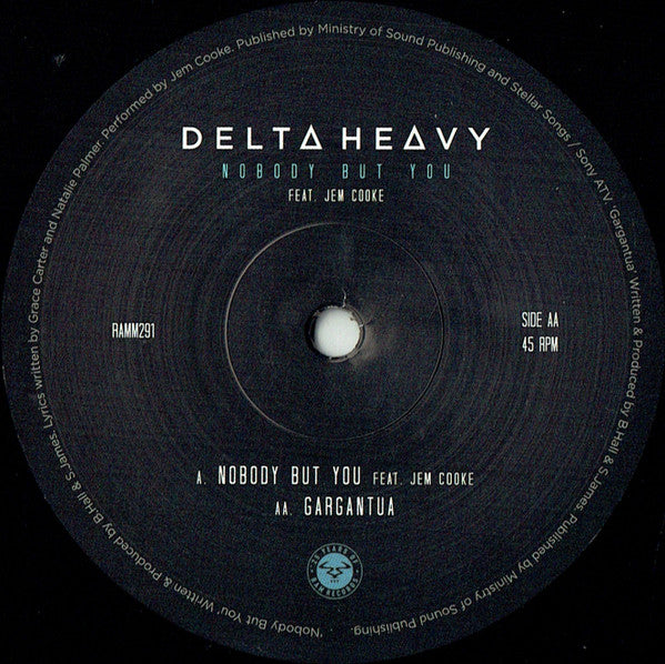 Delta Heavy Ft. Jem Cooke : Nobody But You (12")