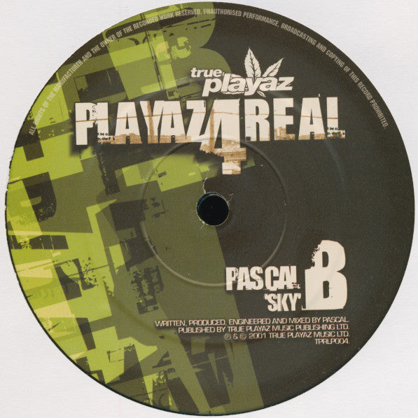 DJ Hype : Playaz4Real (6x12", Comp)