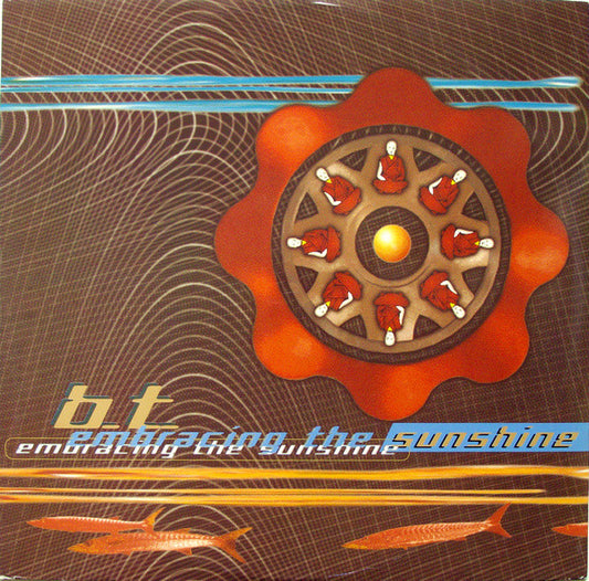 BT : Embracing The Sunshine (12", Single)