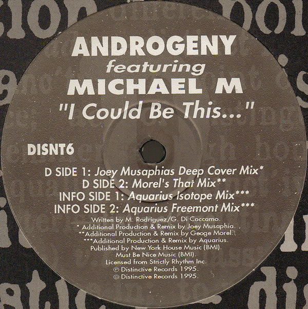 Androgeny Featuring Michael M : I Could Be This ... (12")