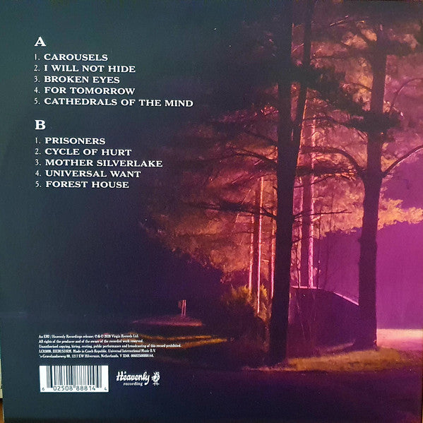 Doves : The Universal Want (LP, Album)