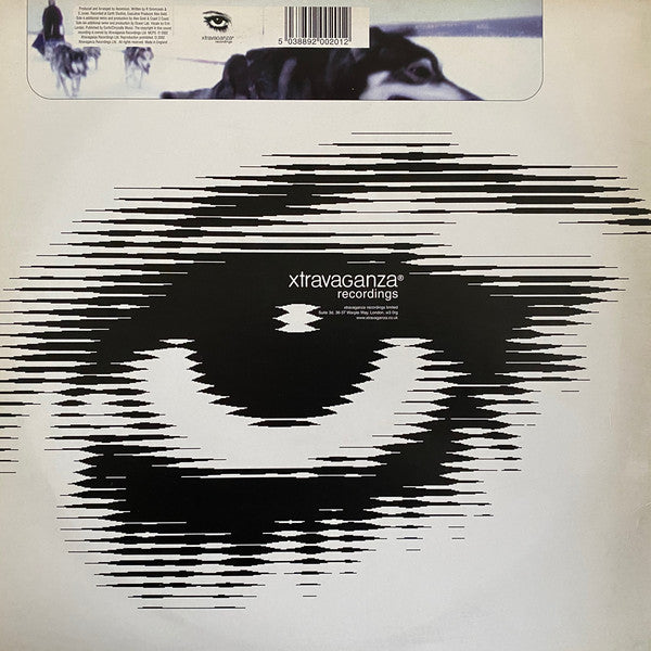 Ascension Feat. Erin Lordan : For A Lifetime (12")