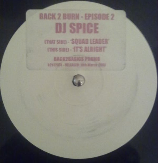 DJ Spice : Back 2 Burn: Episode 2 (12", Promo, W/Lbl, Sti)