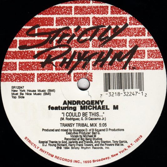 Androgeny Featuring Michael M : I Could Be This... (12")