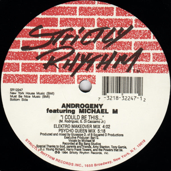 Androgeny Featuring Michael M : I Could Be This... (12")