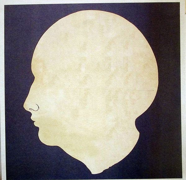 Bombay Bicycle Club : A Different Kind Of Fix (LP, Album)