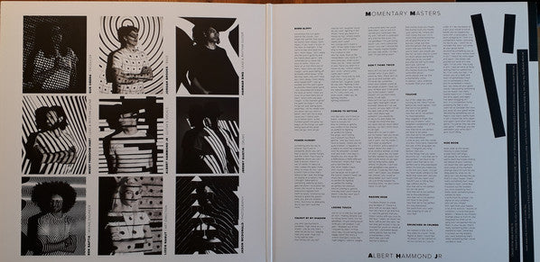 Albert Hammond Jr. : Momentary Masters (LP, Album, Whi)