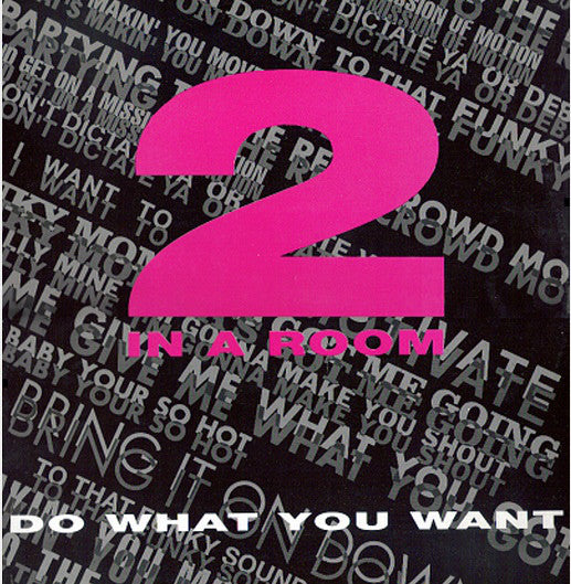 2 In A Room : Do What You Want (12")