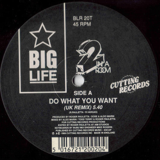 2 In A Room : Do What You Want (12")