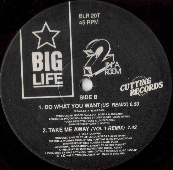 2 In A Room : Do What You Want (12")