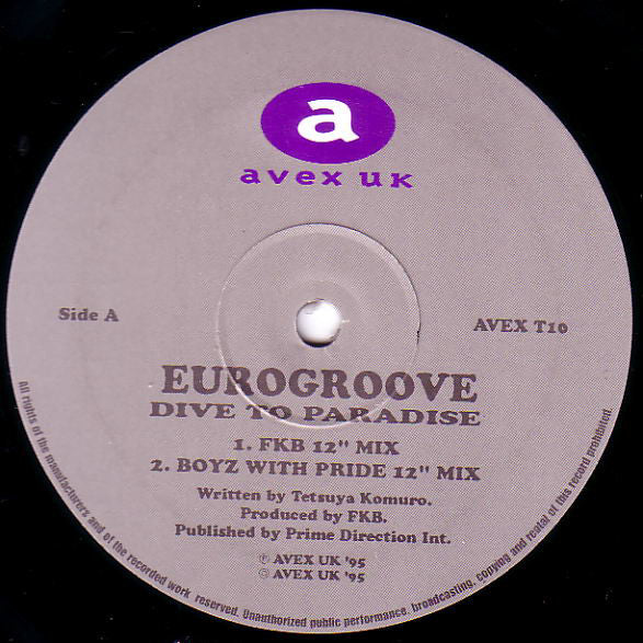 Eurogroove : Dive To Paradise (12")